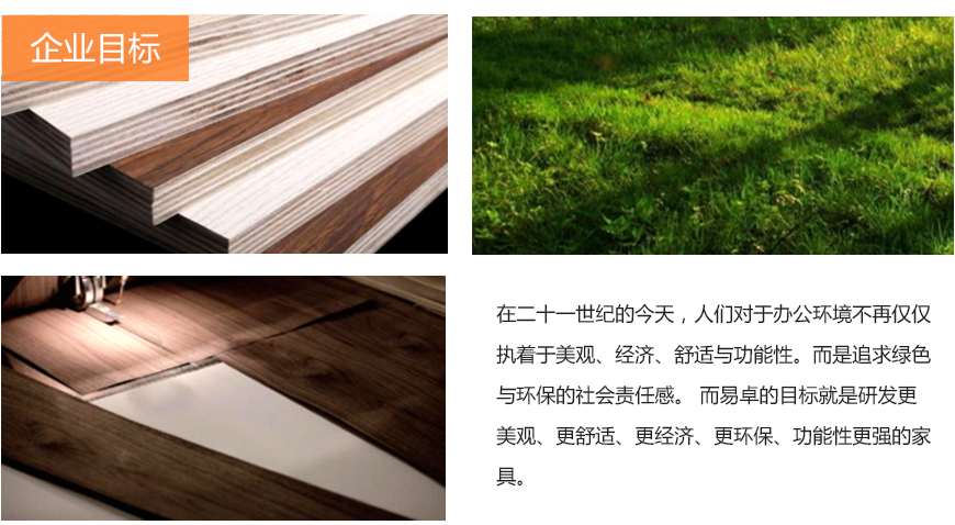 企業(yè)目標(biāo) 企業(yè)目標(biāo)